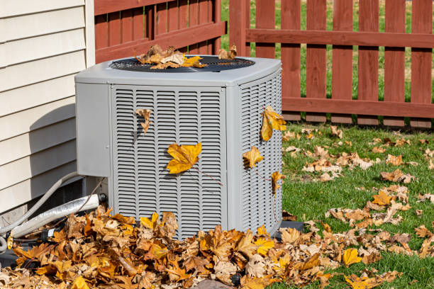 Best Local HVAC companies  in Menahga, MN